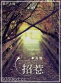 招惹图片