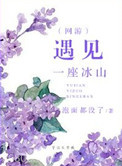 遇见一座冰山（网游）图片