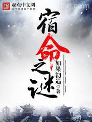 宿命之谜图片