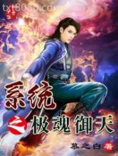 系统之极魂御天图片
