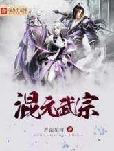 混元武宗图片