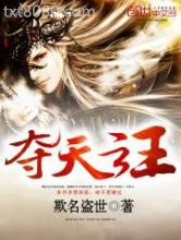 夺天之主图片