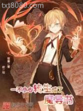 一不小心转生成了魔导书图片