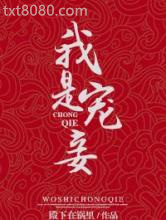 我是宠妾图片