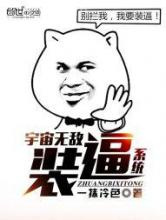 宇宙无敌装逼系统图片