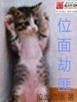 位面劫匪图片