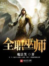 全职巫师图片