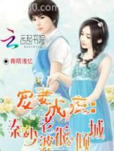 宠妻成瘾：秦少老婆很倾城图片
