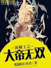 《海贼王之大帝无双》全本TXT下载-作者：孤独的行舟者