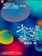少年戈果的奇幻之旅图片