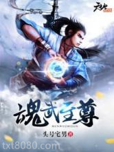 魂武至尊图片