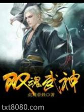 双魂武神图片