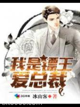 我是镖王爱总裁图片