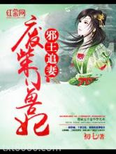 邪王追妻：废柴小兽妃图片
