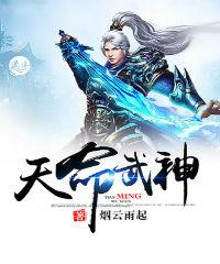 天命武神图片