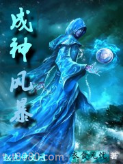 成神风暴图片