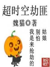 超时空劫匪图片