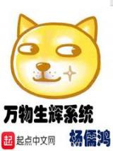 万物生辉系统图片