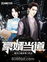 豪婿当道图片
