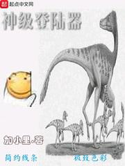 神级登陆器图片