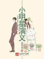 小明星演义图片