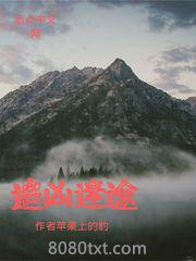 追凶迷途图片