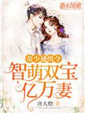 帝少通缉令：智萌双宝亿万妻图片