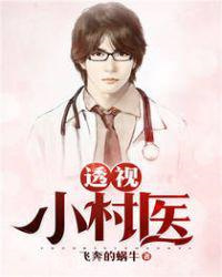 透视小村医图片