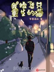 我捡了只重生的猫图片
