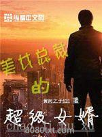 美女总裁的超级女婿图片