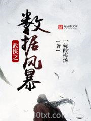 武侠之数据风暴图片