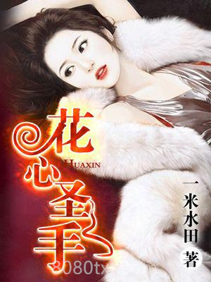 《医界圣手》全本TXT下载-作者：一米水田