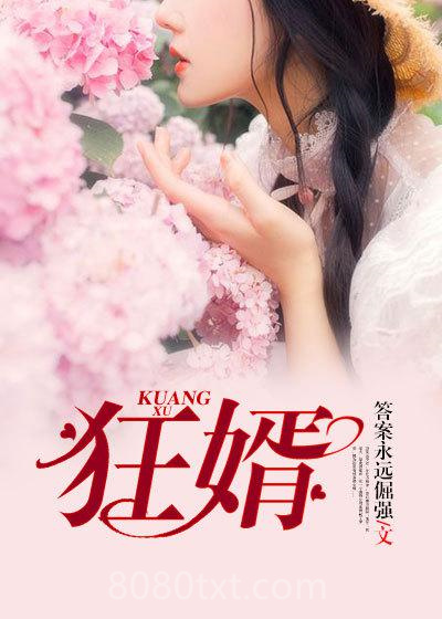狂婿图片