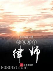 《我真是个律师》全本TXT下载-作者：青圭大大