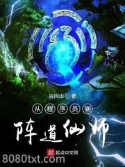 从程序员到阵道仙师图片