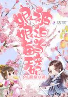 娘娘每天被迫当宠妃图片