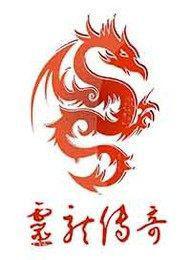 灵龙传奇图片