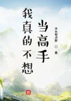 我真的不想当高手图片