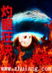 灼眼狂诀图片