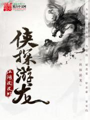 侠探游龙图片