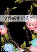 窗外的蜥蜴先生图片
