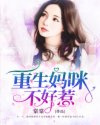 重生妈咪不好惹图片