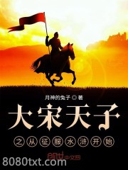 大宋天子之从征服水浒开始图片