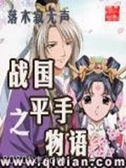 战国之平手物语图片