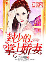 封少的掌上娇妻图片
