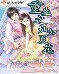 重生之灿如夏花