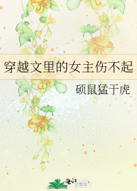 穿越文里的女主伤不起图片