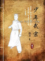 少年武宗