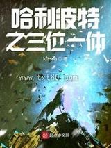 哈利波特之三位一体图片