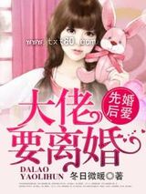 先婚后爱，大佬要离婚！图片